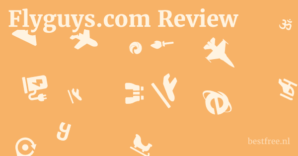 Flyguys.com Review 1 by BestFREE.nl