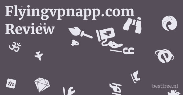 Flyingvpnapp.com Review 1 by BestFREE.nl