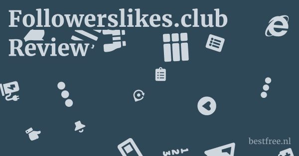 Followerslikes.club Review 1 by BestFREE.nl