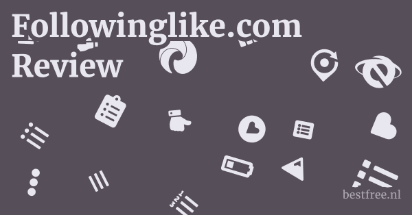 Followinglike.com Review 1 by BestFREE.nl
