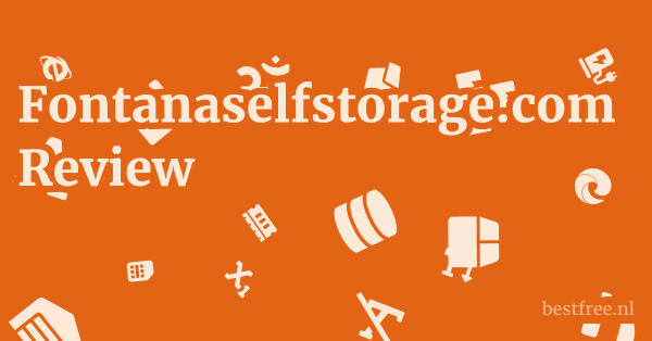 Fontanaselfstorage.com Review 1 by BestFREE.nl