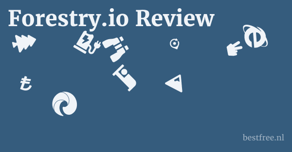 Forestry.io Review 1 by BestFREE.nl