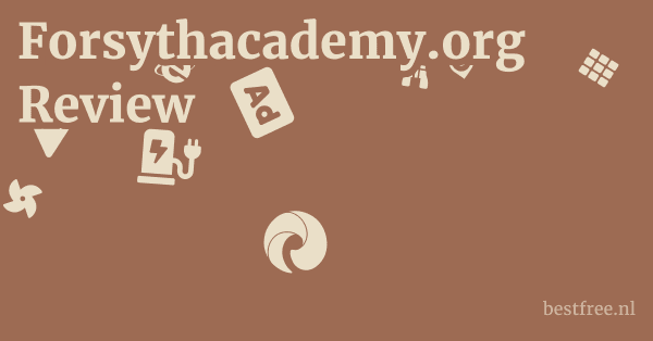 Forsythacademy.org Review 1 by BestFREE.nl
