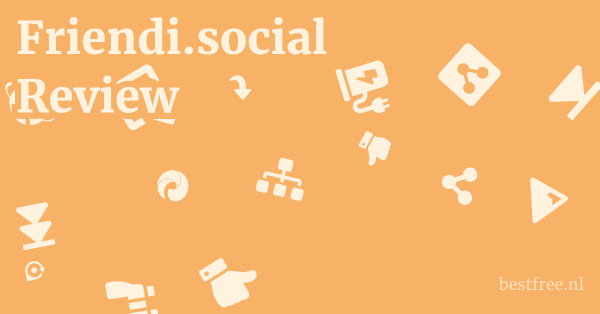 Friendi.social Review 1 by BestFREE.nl