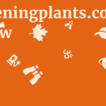 Gardeningplants.com Review 15 by BestFREE.nl