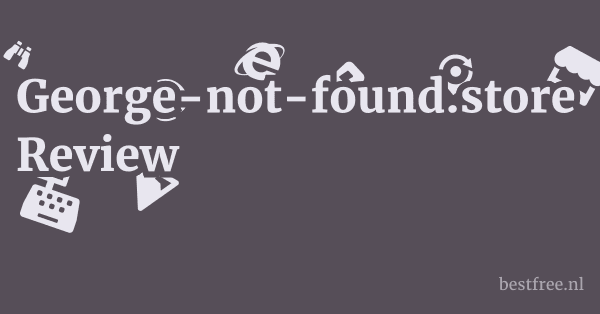 George-not-found.store Review 1 by BestFREE.nl