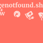 Georgenotfound.shop Review 13 by BestFREE.nl