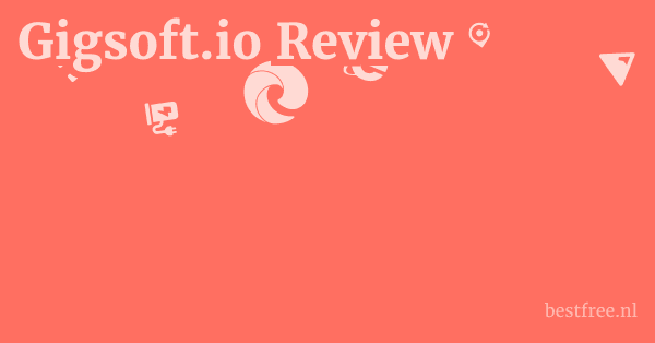 Gigsoft.io Review 1 by BestFREE.nl