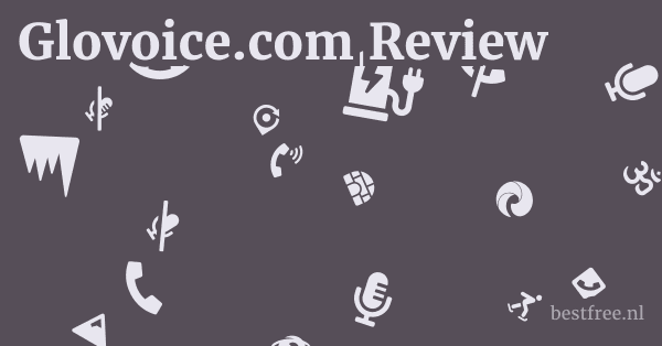 Glovoice.com Review 1 by BestFREE.nl