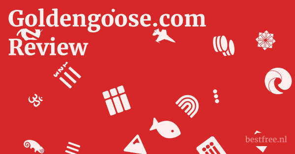 Goldengoose.com Review 1 by BestFREE.nl