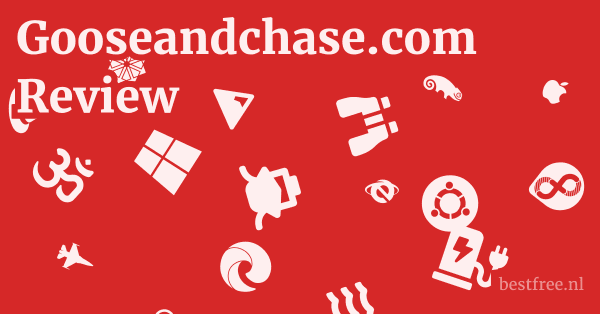 Gooseandchase.com Review 1 by BestFREE.nl