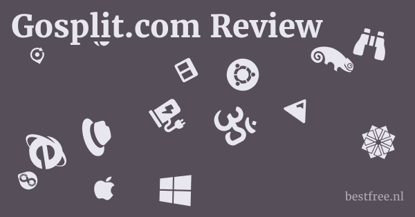 Gosplit.com Review 1 by BestFREE.nl