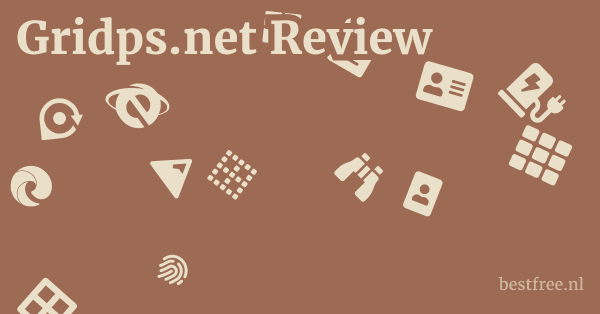 Gridps.net Review 1 by BestFREE.nl