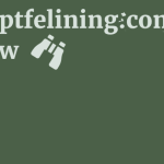 Gtpl-ptfelining.com Review 11 by BestFREE.nl