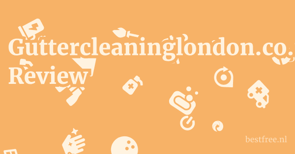 Guttercleaninglondon.co.uk Review 1 by BestFREE.nl