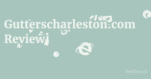 Gutterscharleston.com Review 1 by BestFREE.nl