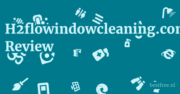 H2flowindowcleaning.com Review 1 by BestFREE.nl