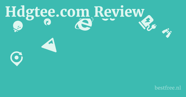 Hdgtee.com Review 1 by BestFREE.nl