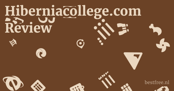 Hiberniacollege.com Review 1 by BestFREE.nl