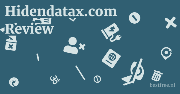 Hidendatax.com Review 1 by BestFREE.nl