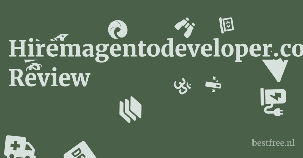 Hiremagentodeveloper.com Review 1 by BestFREE.nl