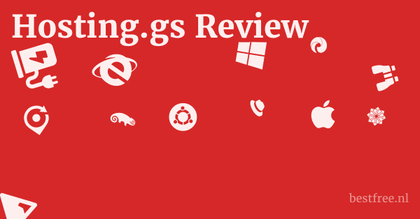 Hosting.gs Review 1 by BestFREE.nl