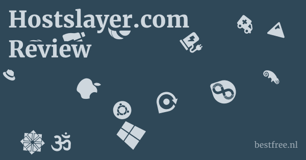 Hostslayer.com Review 1 by BestFREE.nl