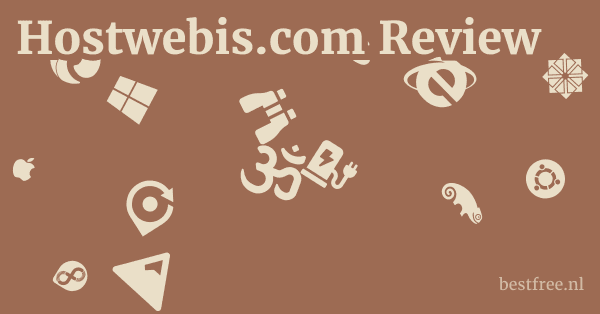 Hostwebis.com Review 1 by BestFREE.nl