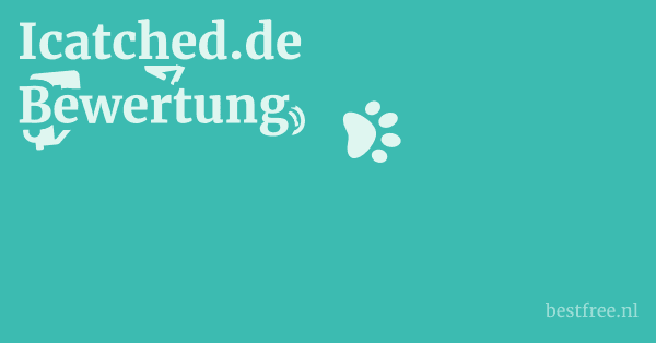 Icatched.de Bewertung 1 by BestFREE.nl
