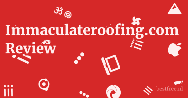 Immaculateroofing.com Review 1 by BestFREE.nl
