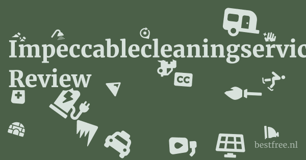 Impeccablecleaningservice.com Review 1 by BestFREE.nl