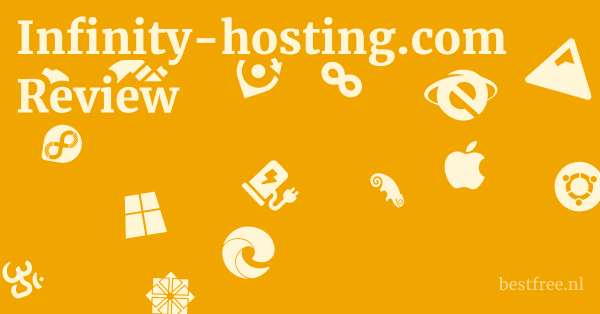 Infinity-hosting.com Review 1 by BestFREE.nl