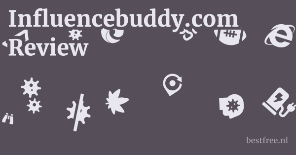 Influencebuddy.com Review 1 by BestFREE.nl