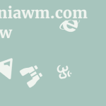 Insigniawm.com Review 11 by BestFREE.nl