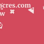 Instaacres.com Review 5 by BestFREE.nl