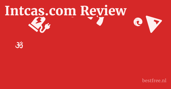 Intcas.com Review 1 by BestFREE.nl
