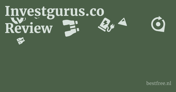 Unpacking InvestGurus.co: A Deep Dive into its Operations 1 by BestFREE.nl