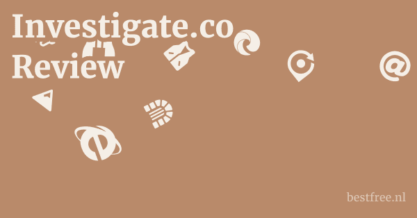 Investigate.co Review 1 by BestFREE.nl