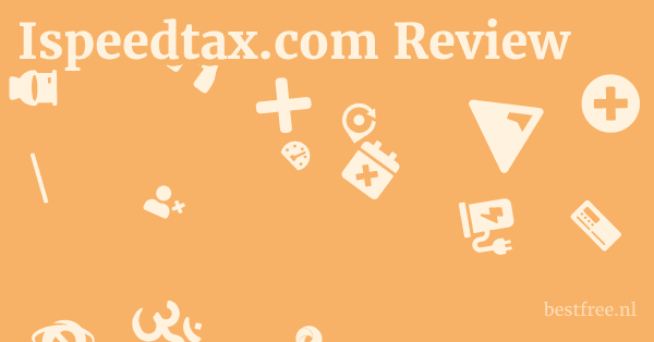 Ispeedtax.com Review 1 by BestFREE.nl