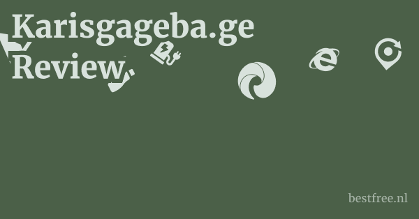 Karisgageba.ge Review: Delving Deeper into Operational Gaps 1 by BestFREE.nl