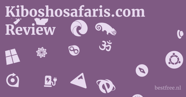 Kiboshosafaris.com Review 1 by BestFREE.nl