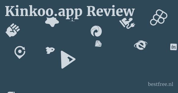 Kinkoo.app Review 1 by BestFREE.nl