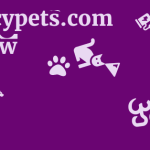 Legacypets.com Review 13 by BestFREE.nl