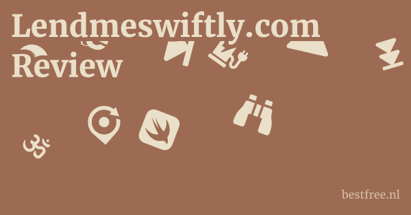 Lendmeswiftly.com Review 1 by BestFREE.nl