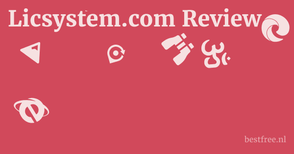 Licsystem.com Review 1 by BestFREE.nl