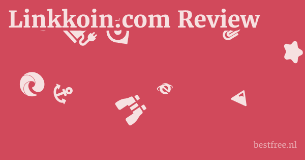 Linkkoin.com Review 1 by BestFREE.nl