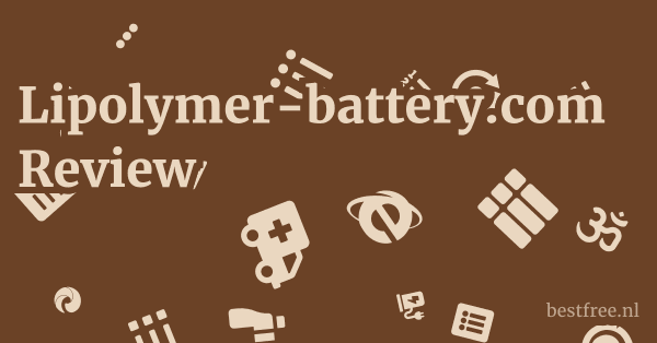 Lipolymer-battery.com Review 1 by BestFREE.nl