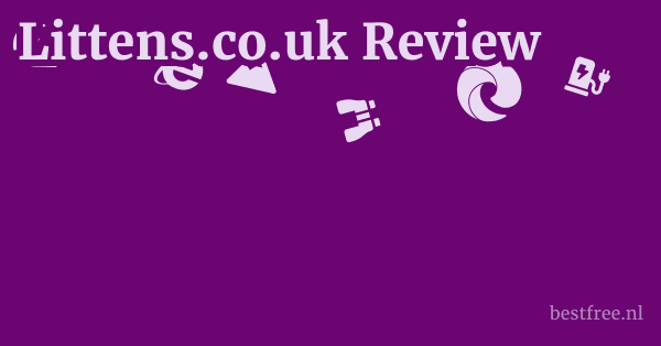 Littens.co.uk Review 1 by BestFREE.nl