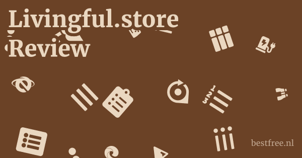 Livingful.store Review 1 by BestFREE.nl