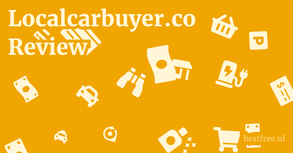 Localcarbuyer.co Review 1 by BestFREE.nl